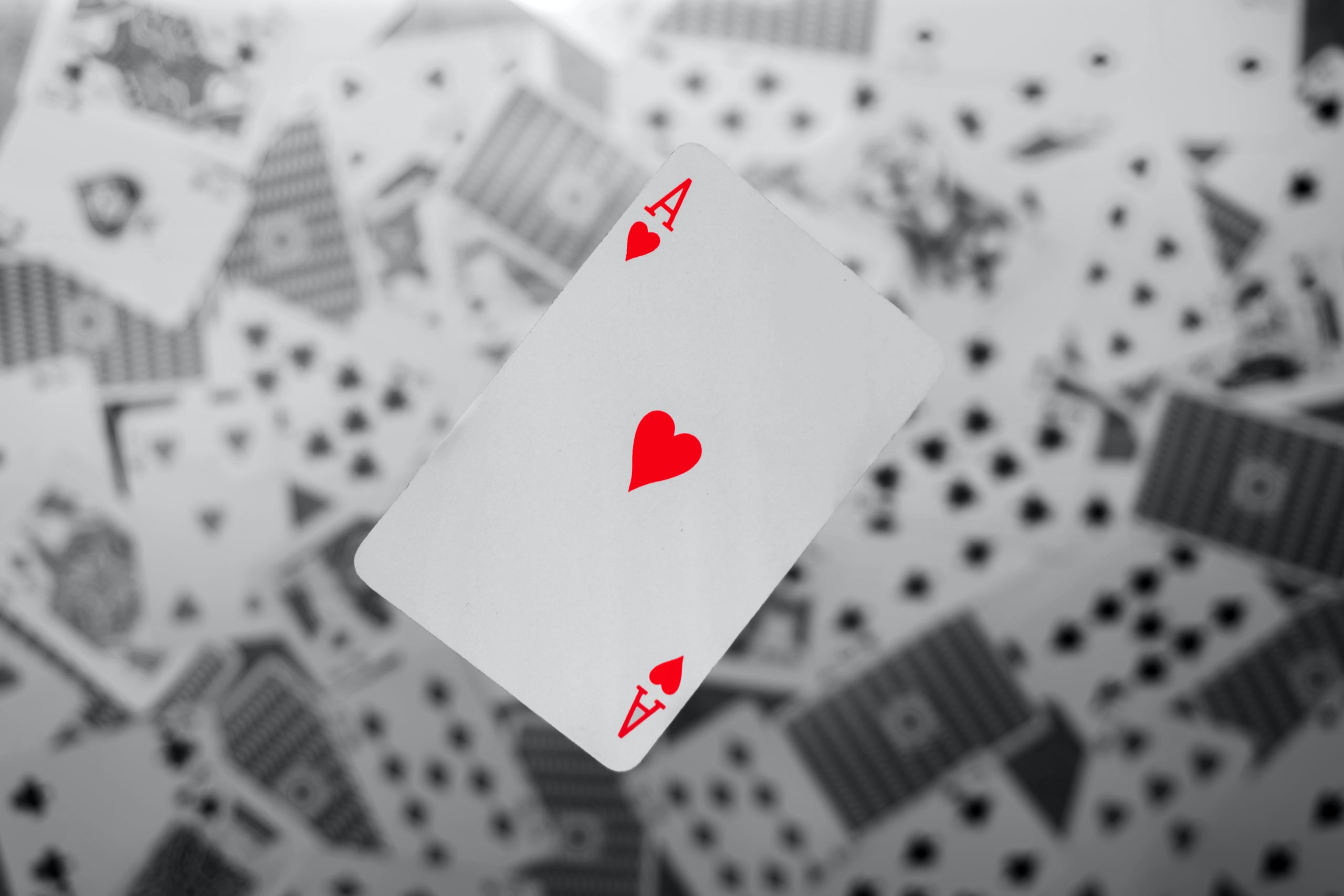 amirali-mirhashemian-Qp-UPUet86g-unsplash